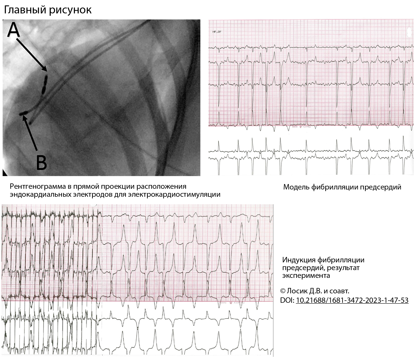 Главный рисунок