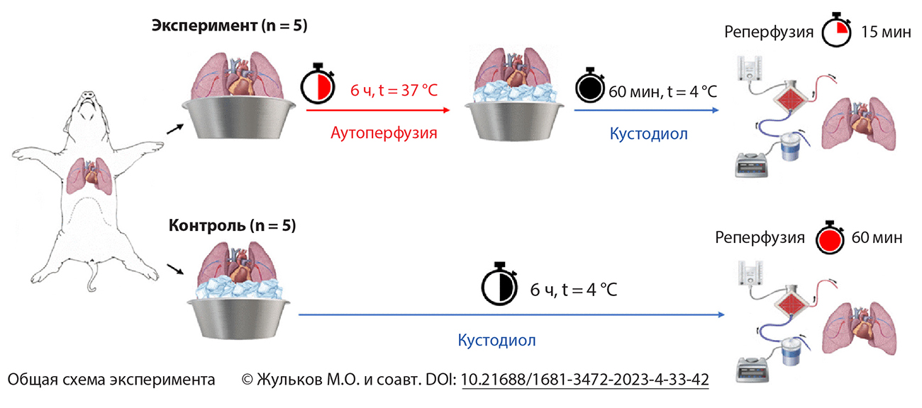 Общая схема эксперимента