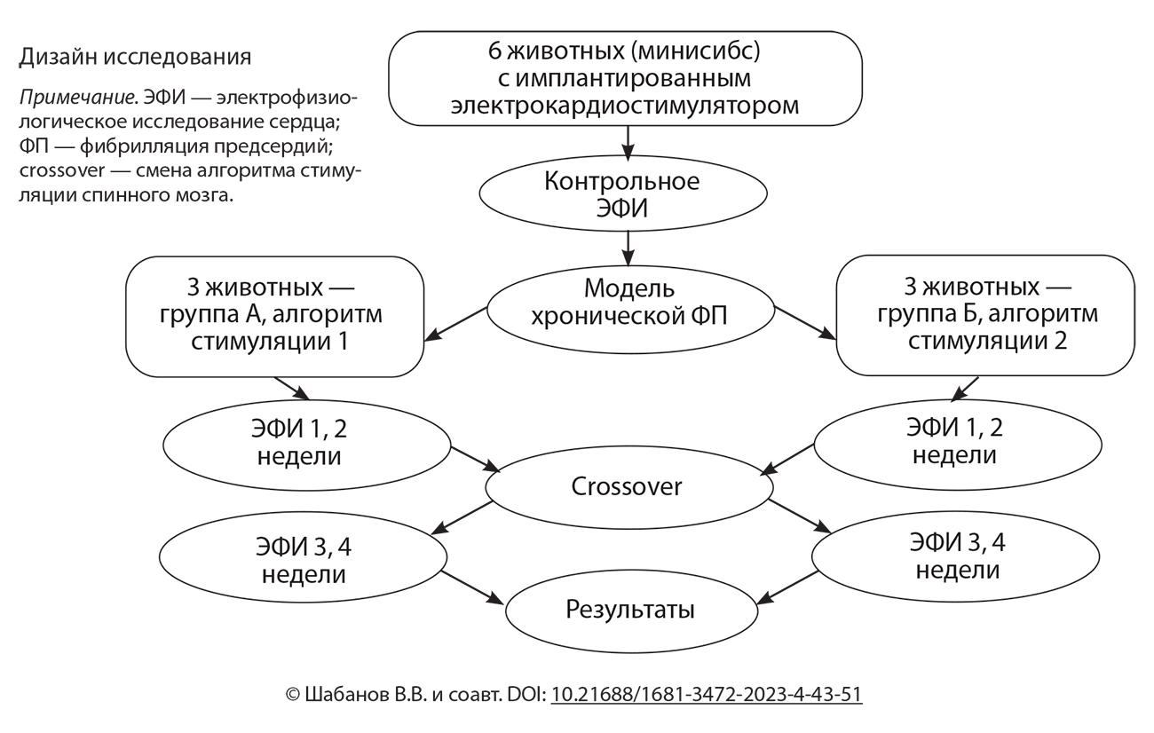 Дизайн исследования