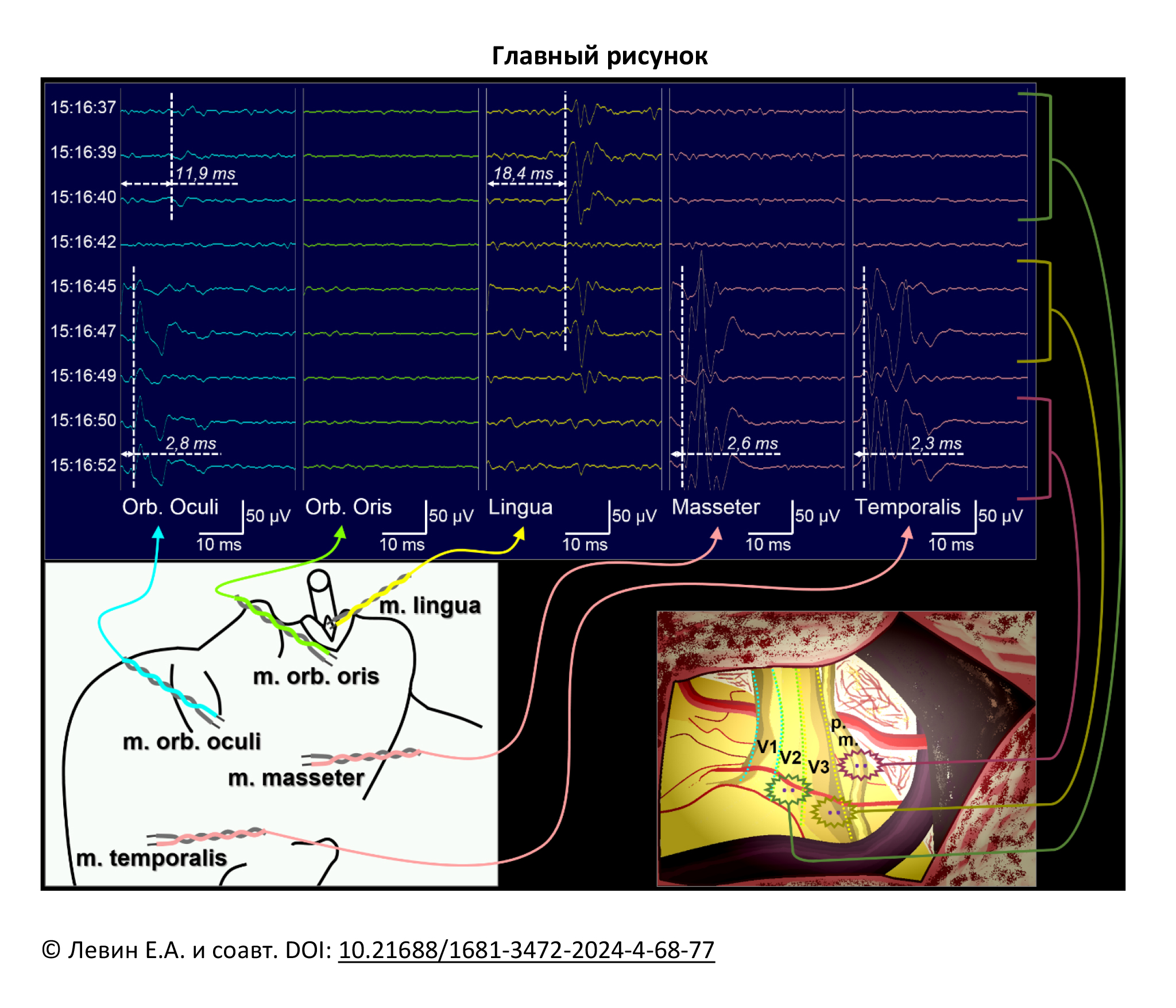 Главный рисунок